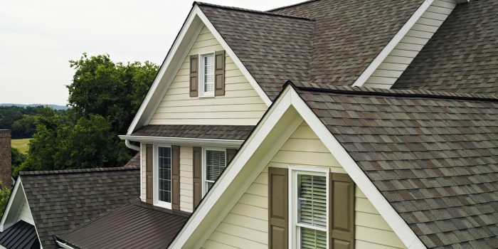 Roofing Shingle Repair - Roof Repair Indianapolis - Richmond Exteriors